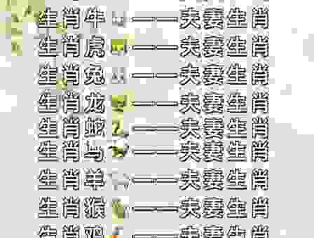 你知道旺旺大叫是哪个生肖吗？快来看看！