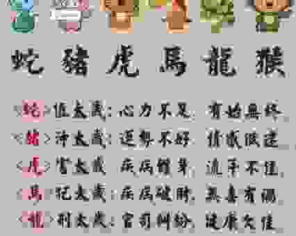 你知道艺高胆大指的是哪个生肖吗？答案在这里！