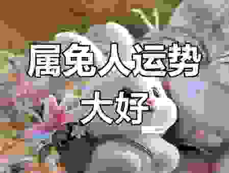 属兔的朋友好运来，动如脱兔的三大生肖你上榜了吗？
