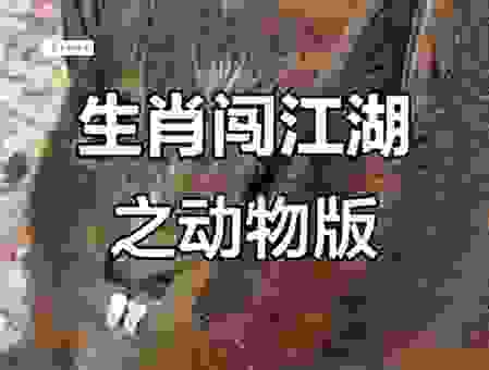想知道高大威猛的动物生肖吗？读完你就明白了！
