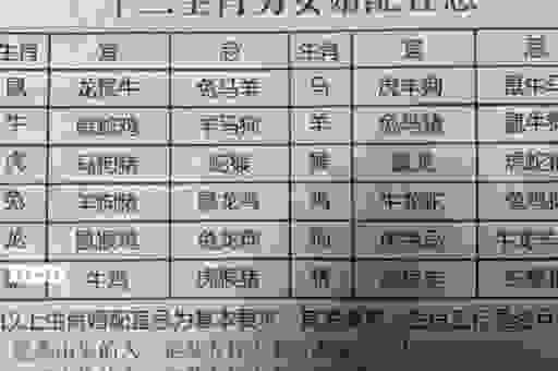 杀一儆百三大生肖藏着什么秘密？一看你就懂！