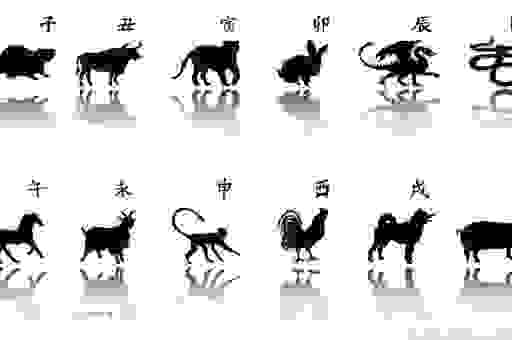牛气冲天代表什么生肖?这些说法了解一下!