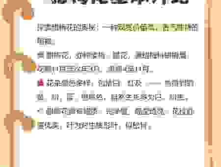 驿寄梅花指什么生肖？老一辈人告诉你答案！