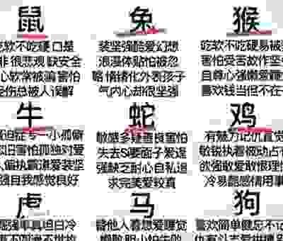 两脚书橱代表的生肖是什么？让你一眼就能看穿！
