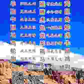 斧钺之诛打一正确生肖答案揭晓，看完你就明白了！
