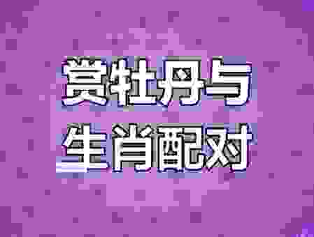 百花争艳,这是什么生肖的信号?