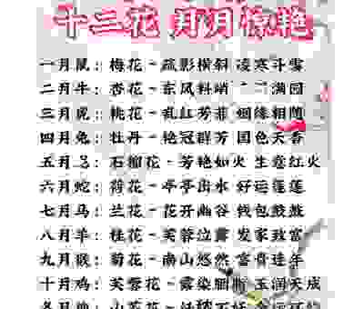 百花争艳，这是什么生肖的信号？