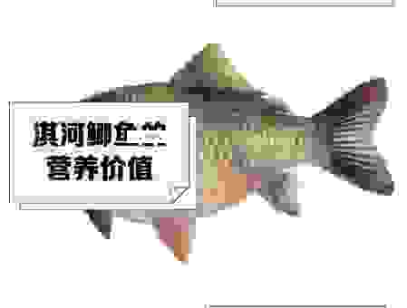 过江之鲫打一准确动物是什么？这个动物名字太形象了！