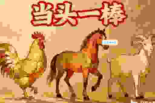 爪牙之士打一准确生肖，新手也能猜对的生肖！