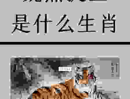 斧钺之诛打一准确生肖，看完你就明白，原来答案是它！
