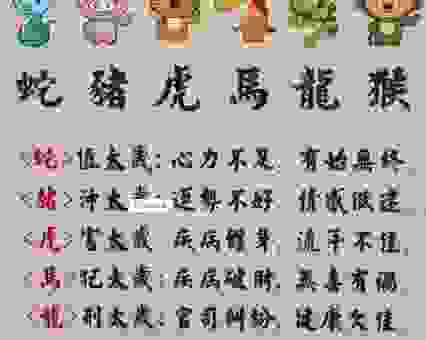 虚怀若谷打一精准生肖，快来和小编一起揭秘！