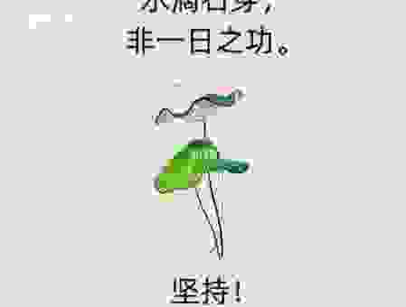滴水穿石打一准确生肖,原来是它一直在默默努力!