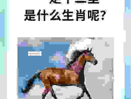 走投无路打一最佳生肖是啥？老一辈人只知道这一个！