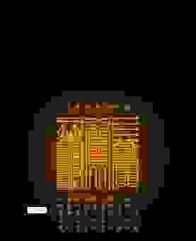 真命天子指一肖的含义,原来是这个意思