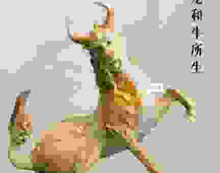 厚德载雾是什么生肖？原来是这个鼠牛龙！