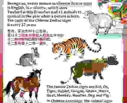 厚德载雾是什么生肖？原来是这个鼠牛龙！