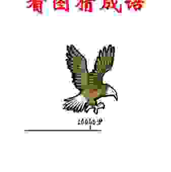 谁能猜出鹏程万里打一精准动物?答案揭晓!
