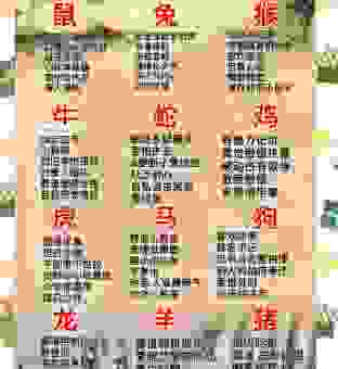 更长梦短是指什么生肖？十二生肖的秘密大揭秘！