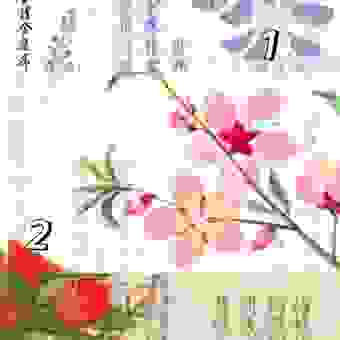 镂金错彩打一肖的答案？看懂这些你就知道！