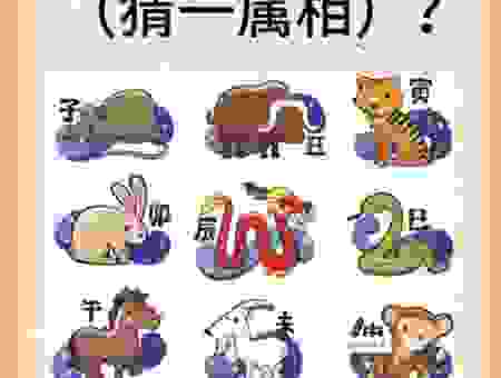 关于稳吃三注打一准确动物的答案，很多人都猜错了！