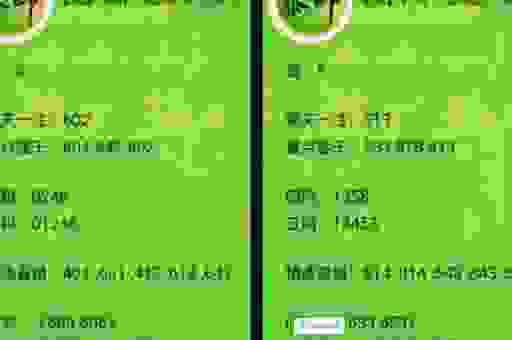 接二连三解一肖，老玩家教你精准预测！