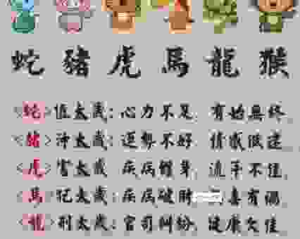 春意盎然打一准确生肖，答案就在你身边千万别错过