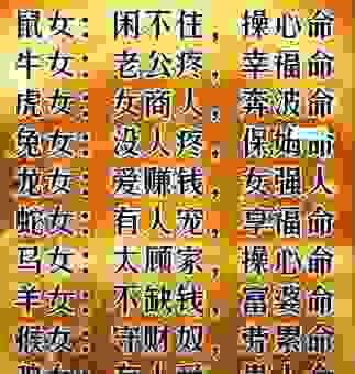 男盗女娼解一生肖，这些生肖的性格特点大揭秘