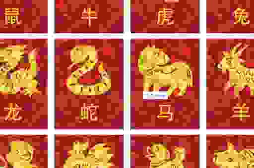 曲曲弯弯代表什么生肖？这几个生肖可能性大