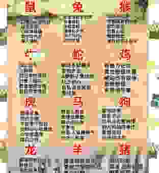 曲曲弯弯代表什么生肖？这几个生肖可能性大
