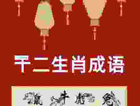 片言折狱猜打一最佳正确生肖是什么？这个生肖原来是你！