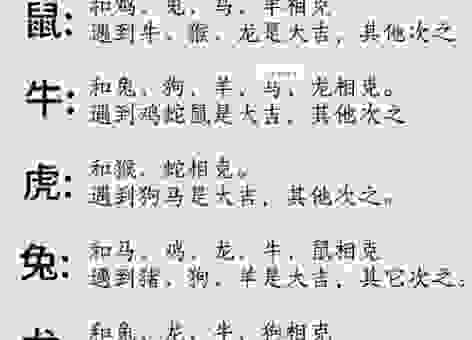 水落石出谜底生肖是什么？看完你就明白了！