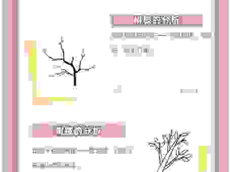 前人种树已成荫指的是哪个生肖？简单解析秒懂