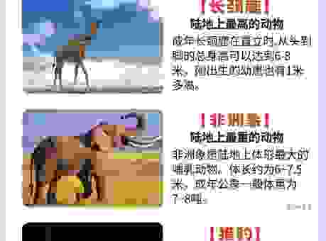 无足轻重代表什么动物？看完你就知道答案了！