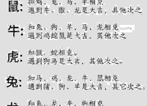 卑躬屈膝开过什么生肖？这几个生肖隐藏大秘密！