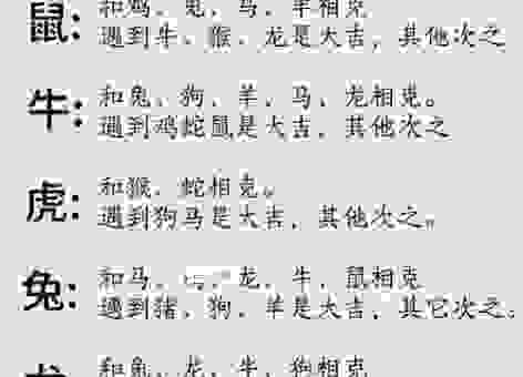 接二连三一最佳生肖的秘密，很多人都不知道