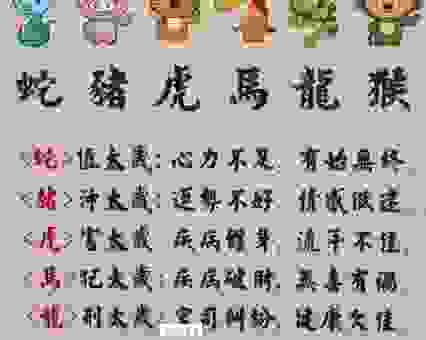 用兵如神猜对生肖，揭秘背后含义，看你是不是聪明人！