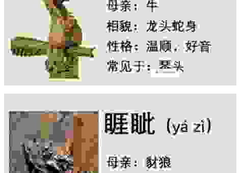 盘龙之癖是什么意思？老司机带你全面了解！