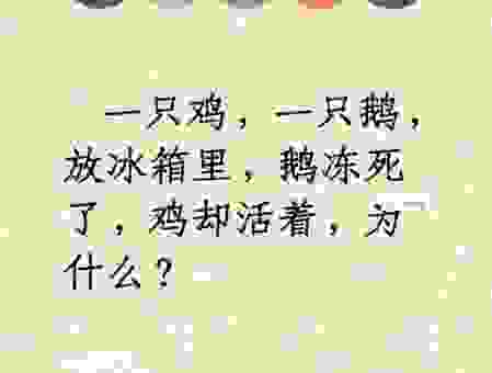 独力难支打一最佳动物是什么？这个答案让你脑洞大开