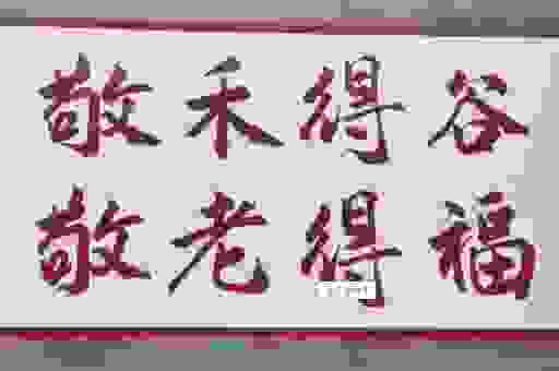 唯利是图指最佳一肖，了解这些秘诀让你稳赢！