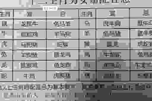 独家解析：珠光宝气一身新，这个生肖的特点是什么？