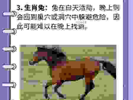 开路先锋是什么生肖？看完你就知道了，很简单！