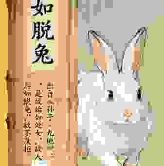 揭秘“无足却快打一最佳生肖”,这个答案有点意思!