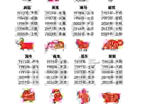 狗血喷头代表什么生肖？十二生肖深度解析