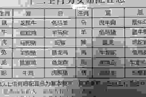 特立独行代表生肖是哪个？数据分析告诉你！