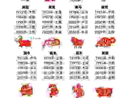 特立独行代表生肖是哪个？数据分析告诉你！