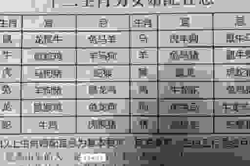 离经畔道生肖是什么？了解这些生肖的独特魅力