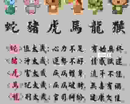 招蜂引蝶的生肖是谁？原来是这些热门生肖！