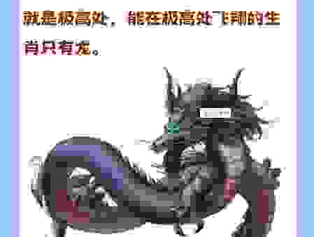 孔夫子搬家是什么意思？生肖答案在这里别错过