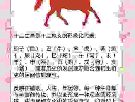 神州五号打一生肖，这几个生肖可能性大！