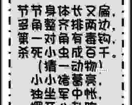 阳春白雪打一动物，这个谜底让人哭笑不得！